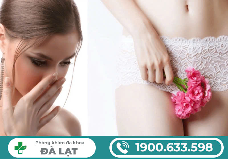 Hình ảnh minh họa